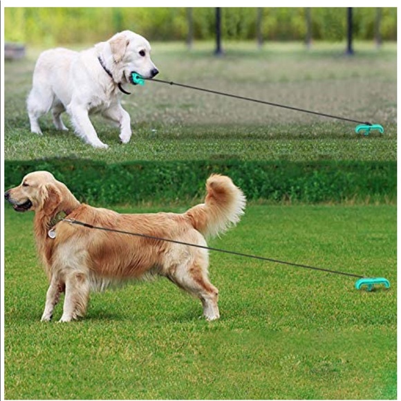 Dog stake and leash with toy (brand new)! - Picture 7 of 7